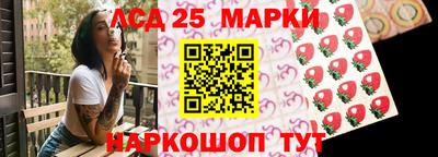 шишки Кандалакша