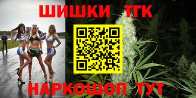 шишки Кандалакша