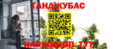 шишки Кандалакша