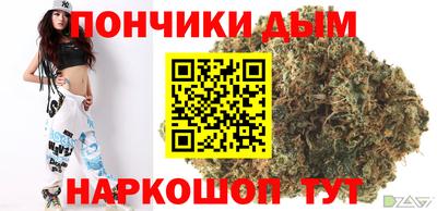шишки Кандалакша