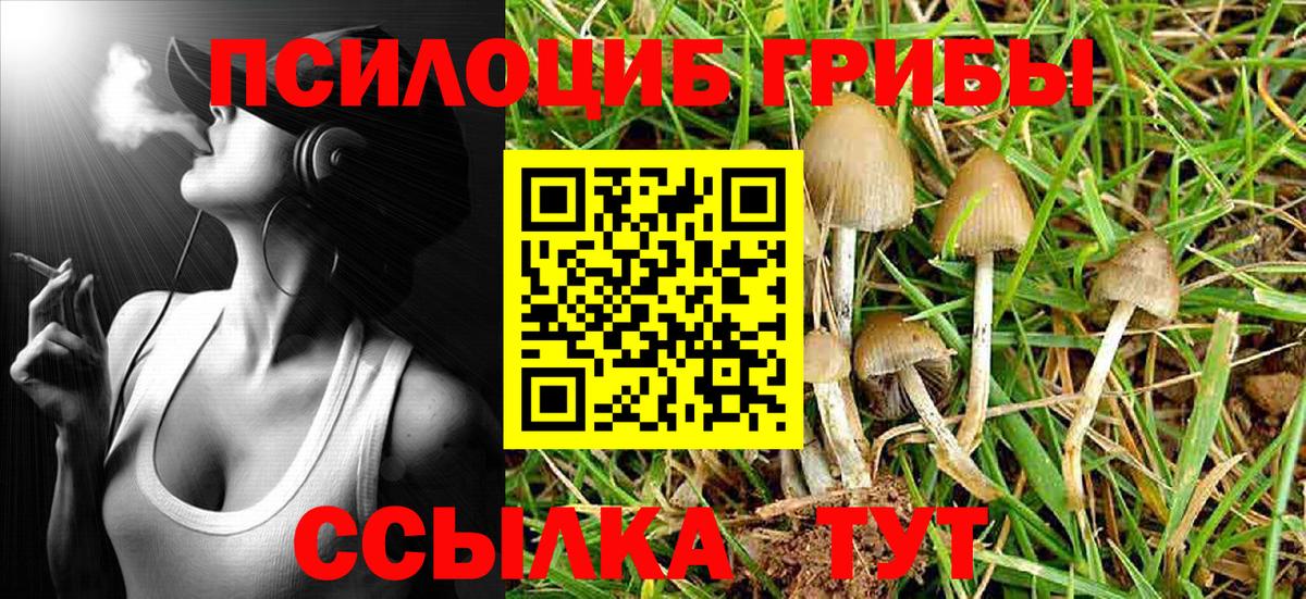 Галлюциногенные грибы Psilocybe  Вход с VPN  Галлюциногенные грибы Magic Shrooms  Кимовск 